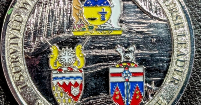 Expert Professional Advanced Practice Nursing Consultations