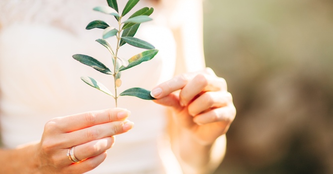 DATAC Certified Substance Use Testing Services