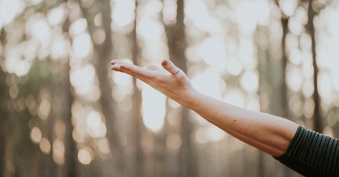 Mental Health & Substance Use Assessments, Therapy, & Counselling