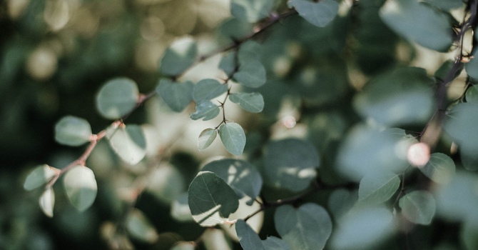 Home Nursing Services - Calgary Metro Area